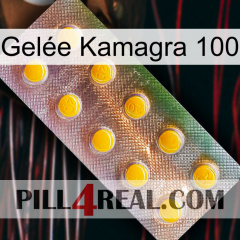 Gelée Kamagra 100 new11